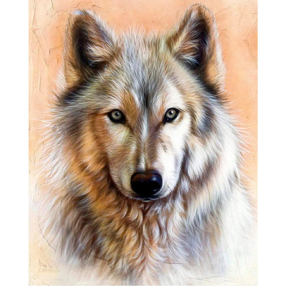 Wolf - Full Round Drill Diamond Painting 40*50CM