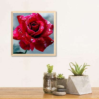 Water Drop Rose 30*30CM(Canvas) Full Square Drill Diamond Painting