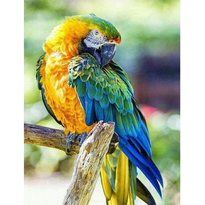 Parrot - Full Round Drill Diamond Painting 40*50CM