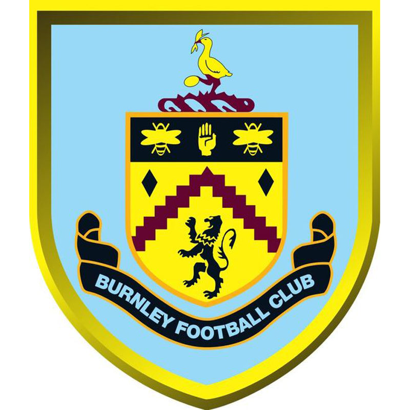 Burnley Football Club 40*50CM(Canvas) Full Square Drill Diamond Painting
