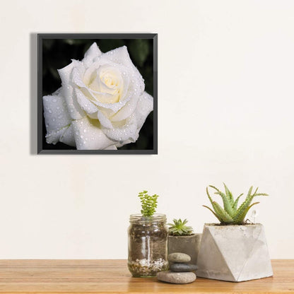 White Rose 40*40CM(Canvas) Full Round Drill Diamond Painting