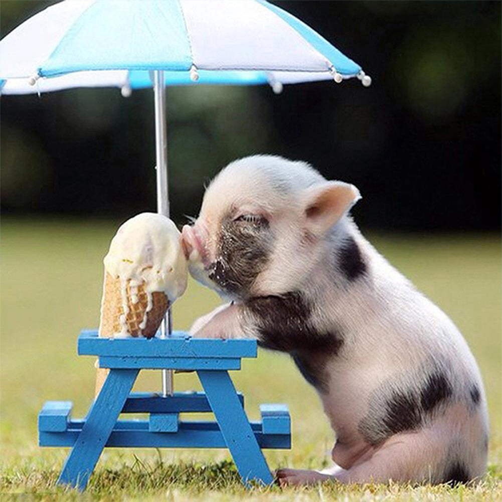 Pig Eating Ice Cream - Full Round Drill Diamond Painting 50*50CM