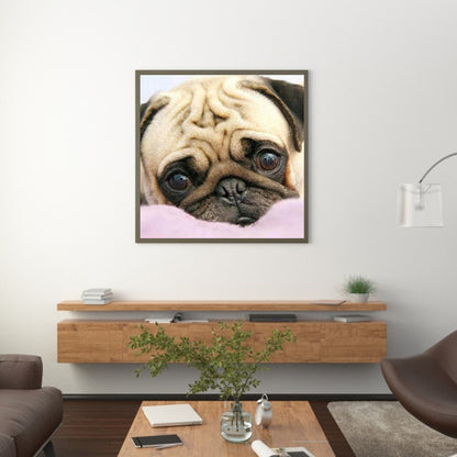 Pug Dog - Full Round Drill Diamond Painting 50*50CM