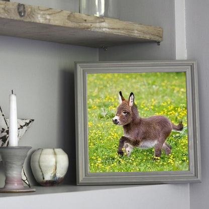 North American Donkey - Full Square Drill Diamond Painting 30*30CM