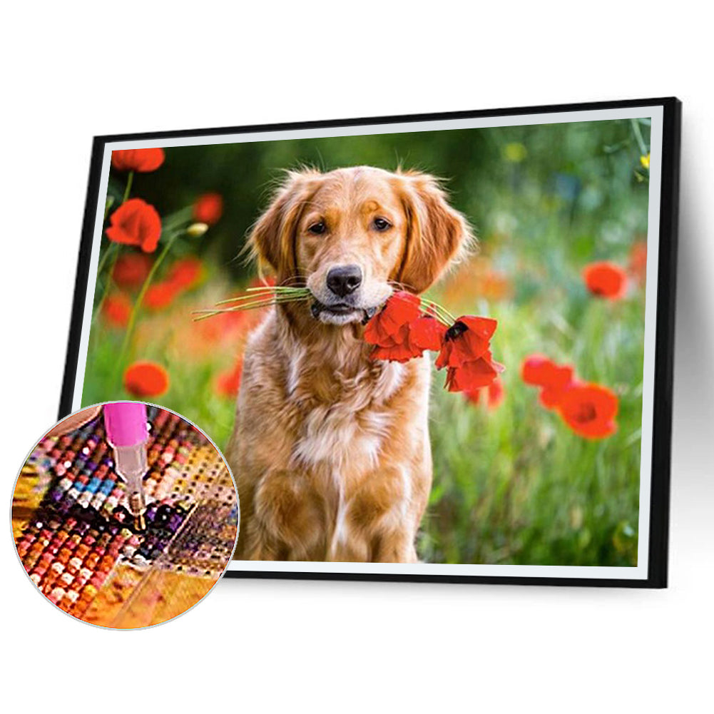 Golden Retriever - Full Round Drill Diamond Painting 50*40CM