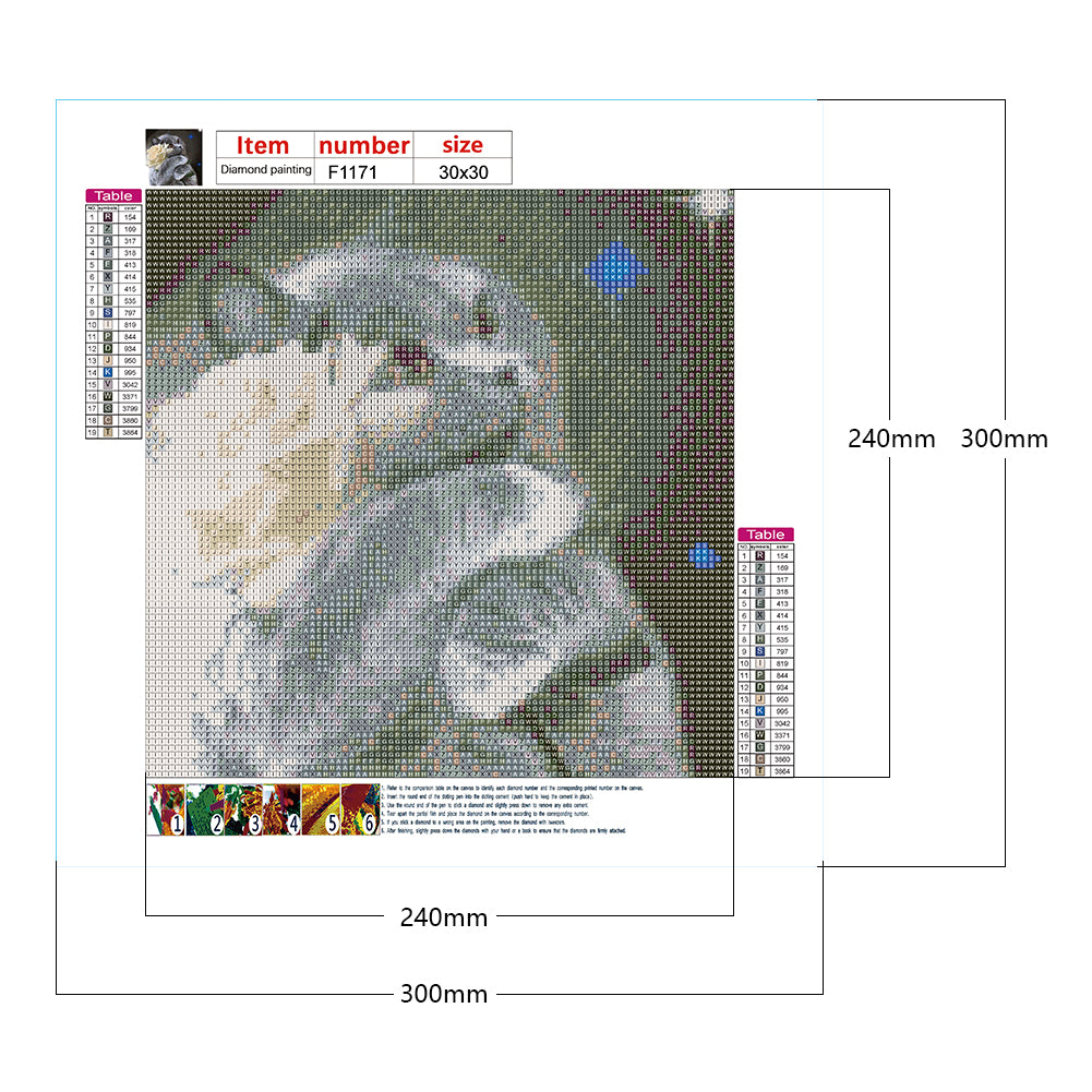 Cat With White Rose - Full Square Drill Diamond Painting 30*30CM