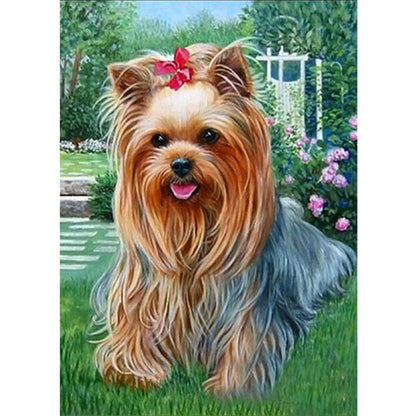 Yorkshire Terrier - Full Round Drill Diamond Painting 30*40CM