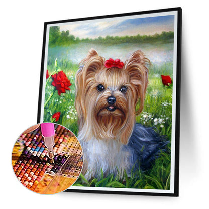 Yorkshire Terrier - Full Round Drill Diamond Painting 30*40CM