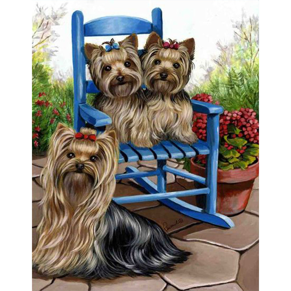 Yorkshire Terrier - Full Round Drill Diamond Painting 30*40CM