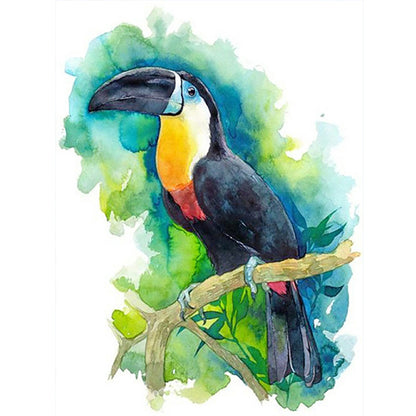 Toucan - Full Round Drill Diamond Painting 30*40CM