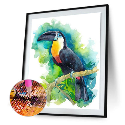 Toucan - Full Round Drill Diamond Painting 30*40CM