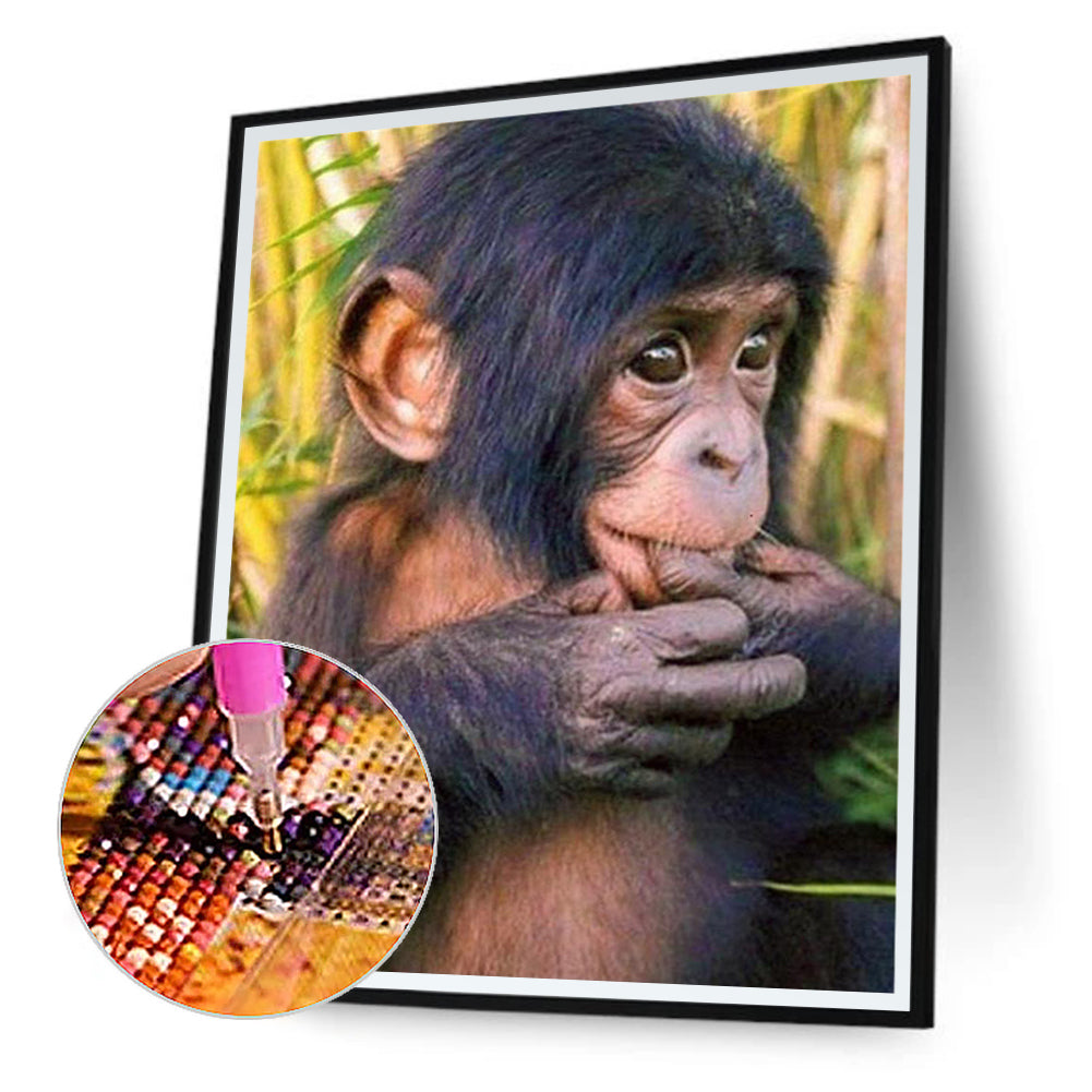 Orangutan - Full Round Drill Diamond Painting 40*50CM