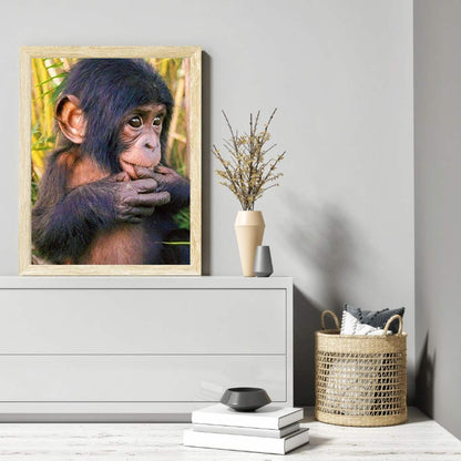 Orangutan - Full Round Drill Diamond Painting 40*50CM