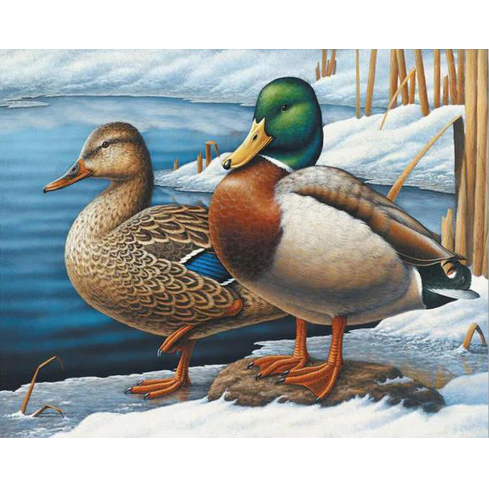 Duck - Full Round Drill Diamond Painting 40*30CM