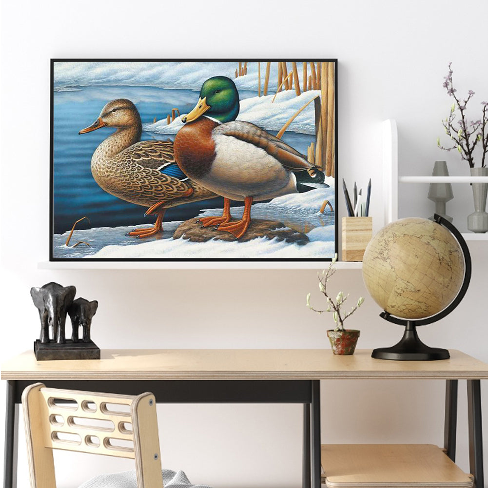 Duck - Full Round Drill Diamond Painting 40*30CM