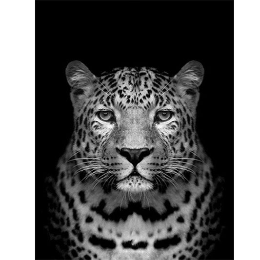 Black And White Leopard - Full Round Drill Diamond Painting 40*50CM