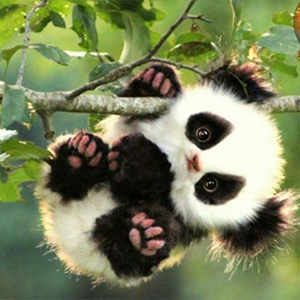 Panda - Full Square Drill Diamond Painting 40*40CM