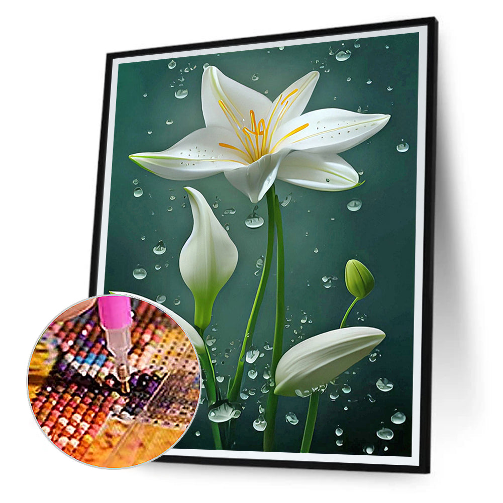 White Lily - Full Round Drill Diamond Painting 30*40CM