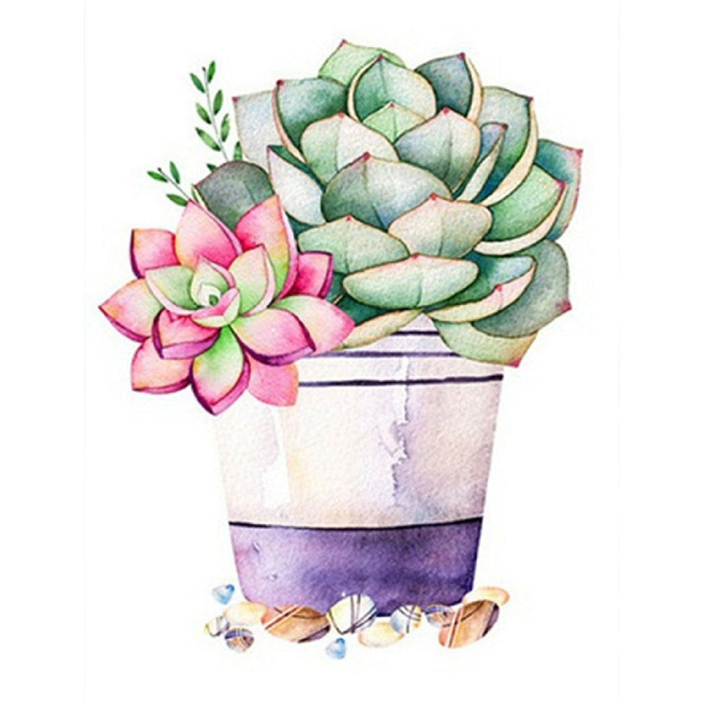 Succulent Potted Plant - Full Square Drill Diamond Painting 30*40CM