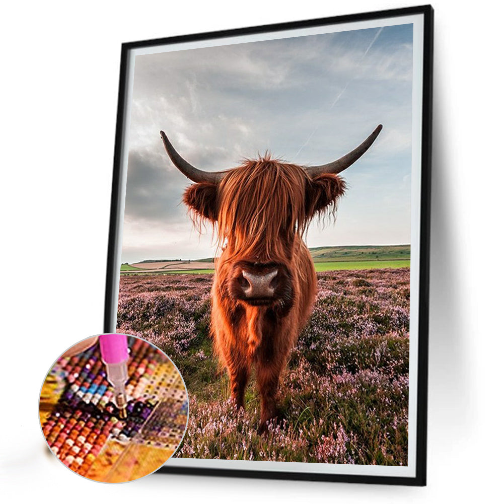 Highland Yak - Full Square Drill Diamond Painting 50*60CM