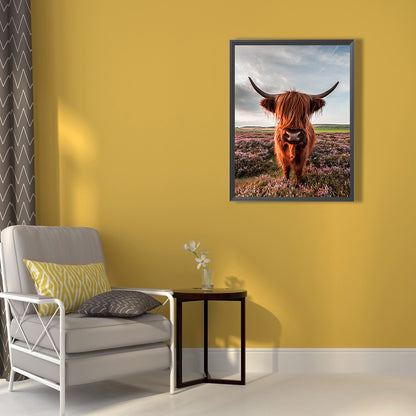 Highland Yak - Full Square Drill Diamond Painting 50*60CM
