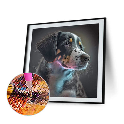 Bernese Mountain Dog - Full Round Drill Diamond Painting 30*30CM