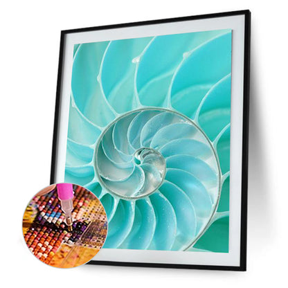 Nautilus Shell - Full Round Drill Diamond Painting 30*40CM