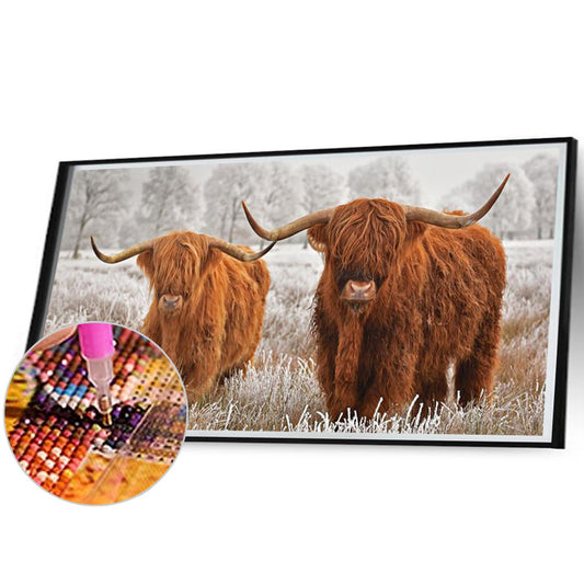 Highland Yak - Full Square Drill Diamond Painting 80*40CM