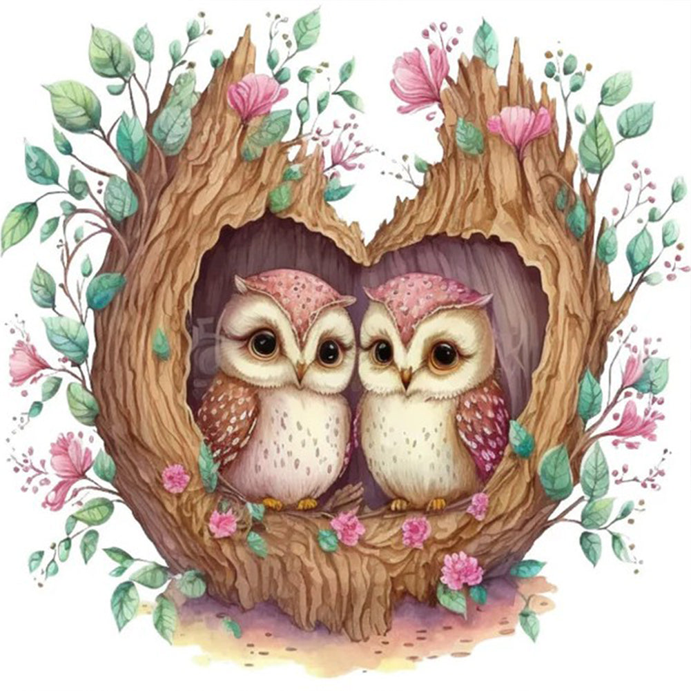Owl 30*30Ccm(canvas) full round drill diamond painting