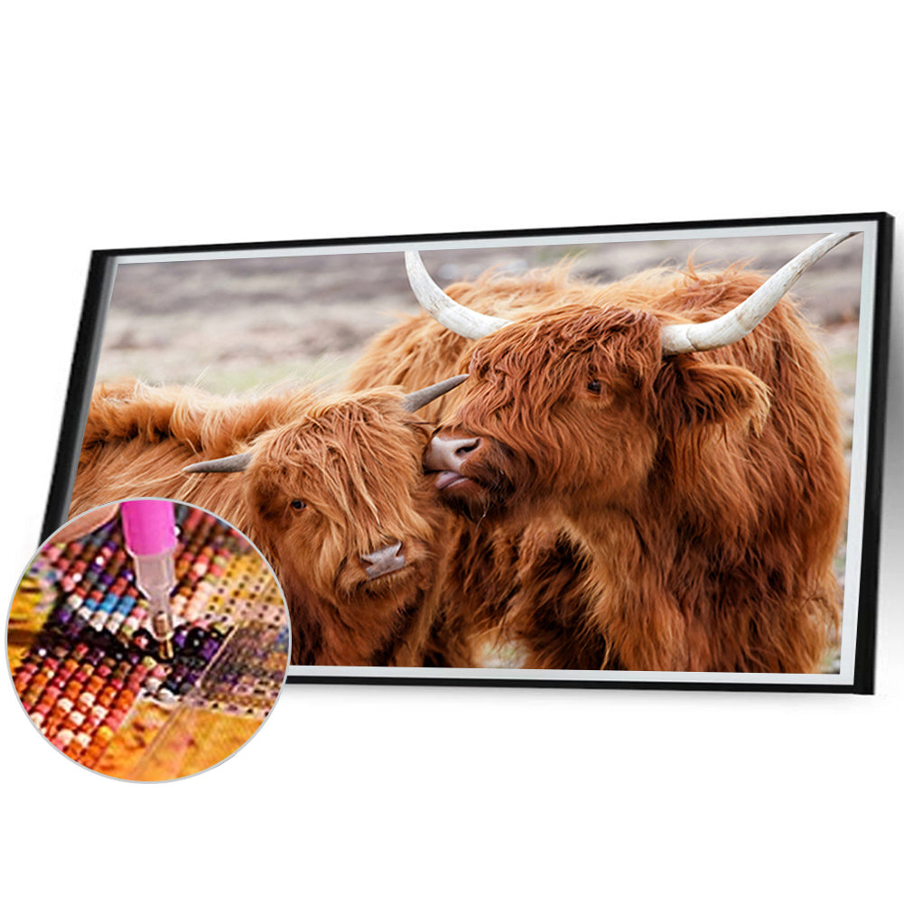 Highland Yak - Full Round Drill Diamond Painting 70*45CM