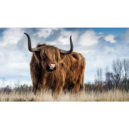 Highland Yak - Full Square Drill Diamond Painting 70*40CM