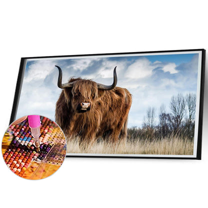 Highland Yak - Full Square Drill Diamond Painting 70*40CM