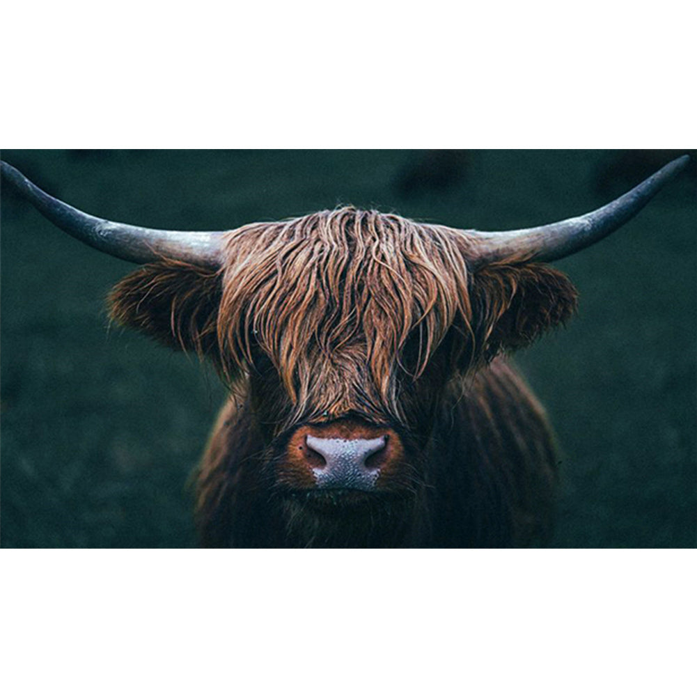 Highland Yak - Full Square Drill Diamond Painting 70*45CM