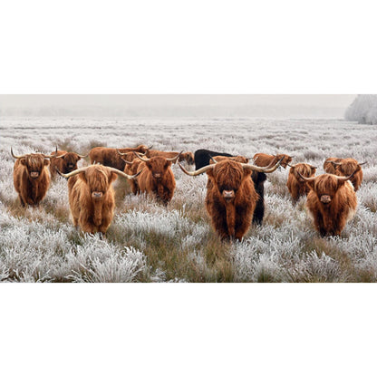 Highland Yak - Full Round Drill Diamond Painting 80*40CM