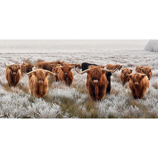 Highland Yak - Full Round Drill Diamond Painting 80*40CM