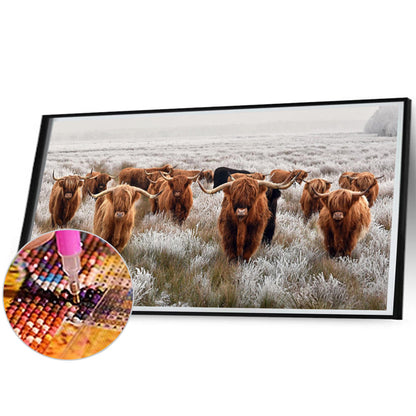 Highland Yak - Full Round Drill Diamond Painting 80*40CM
