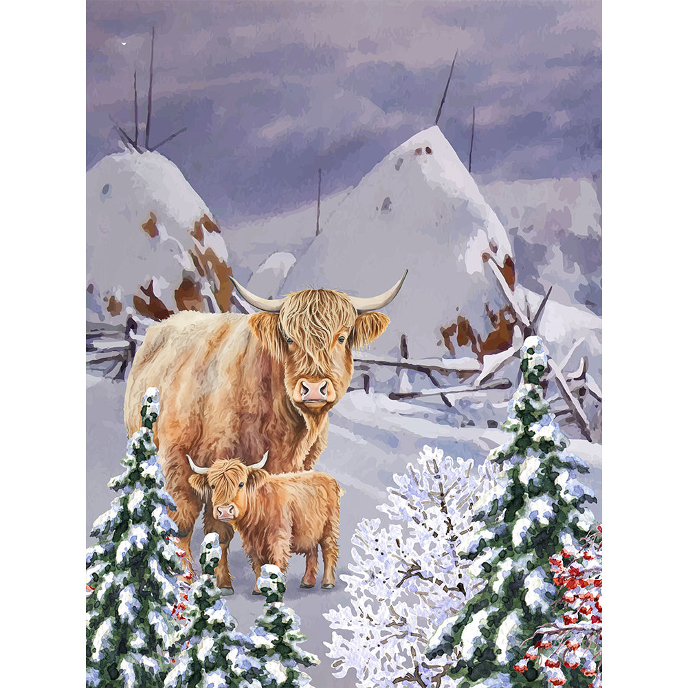 Highland Cattle - Full Round Drill Diamond Painting 30*40CM