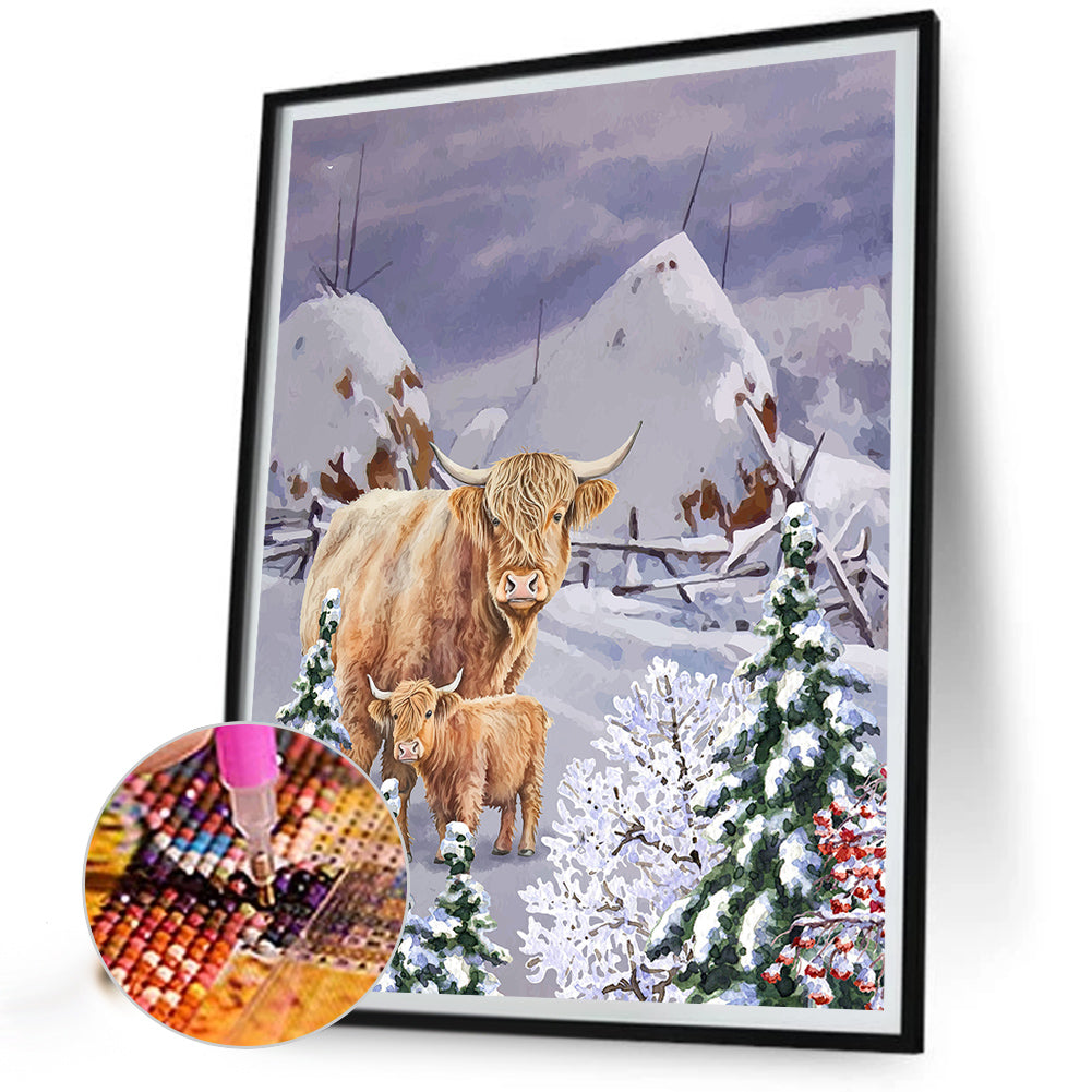Highland Cattle - Full Round Drill Diamond Painting 30*40CM