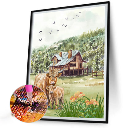Highland Cattle - Full Round Drill Diamond Painting 30*40CM