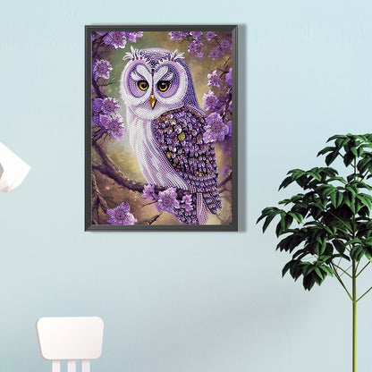 Personality Owl - Special Shaped Drill Diamond Painting 30*40CM