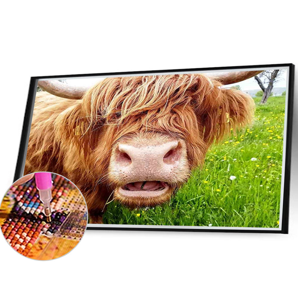 Plateau Cattle - Full Round Drill Diamond Painting 40*30CM