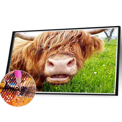 Plateau Cattle - Full Round Drill Diamond Painting 40*30CM