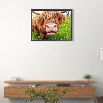 Plateau Cattle - Full Round Drill Diamond Painting 40*30CM