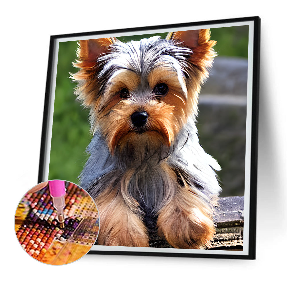 Yorkshire Terrier - Full Round Drill Diamond Painting 30*30CM