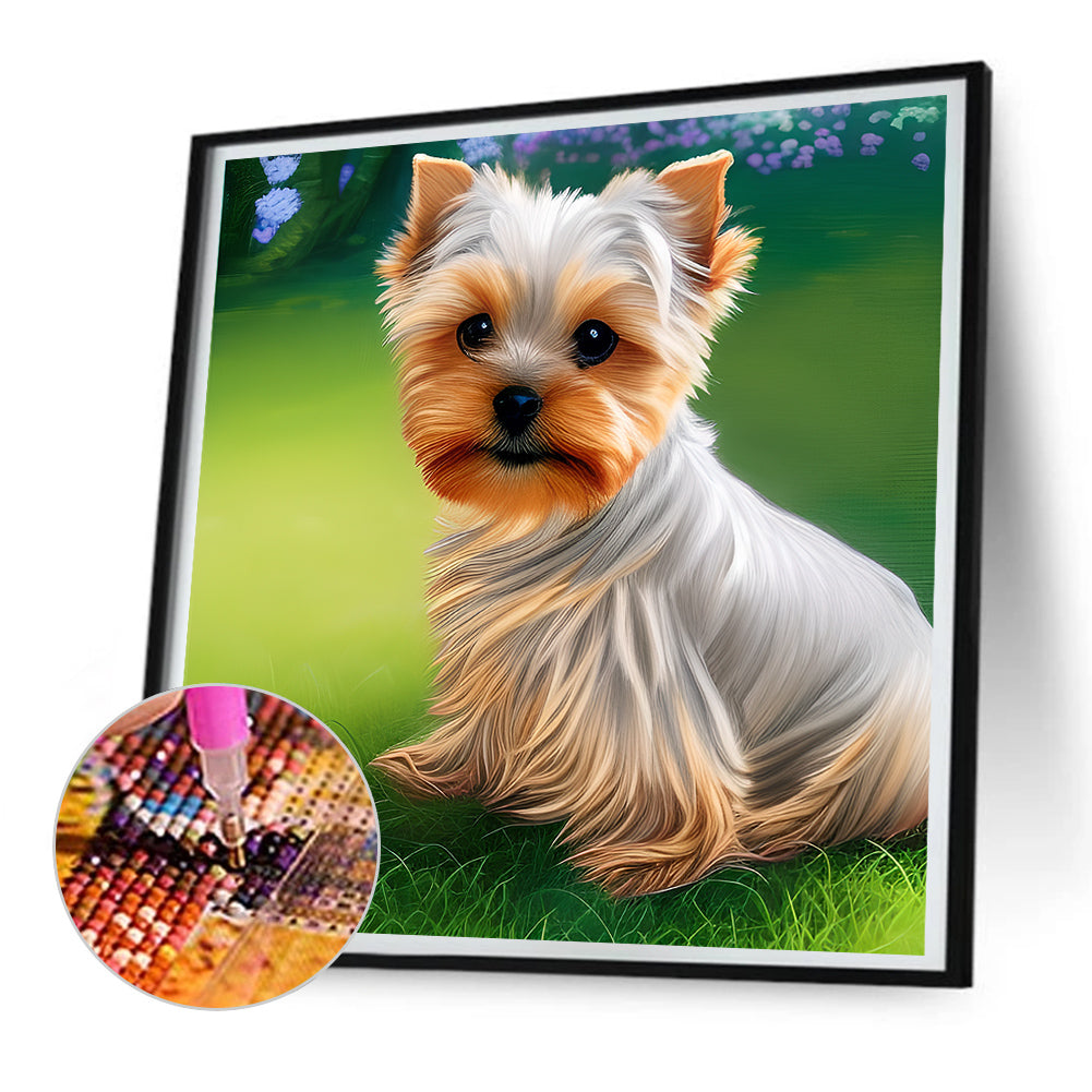 Yorkshire Terrier - Full Round Drill Diamond Painting 30*30CM