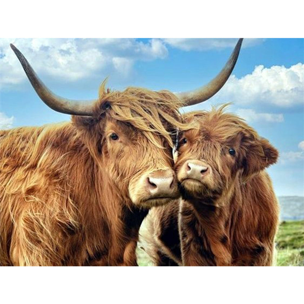 Highland Yak - Full Round Drill Diamond Painting 40*30CM