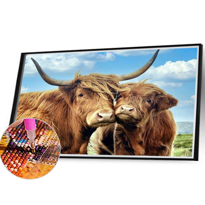Highland Yak - Full Round Drill Diamond Painting 40*30CM