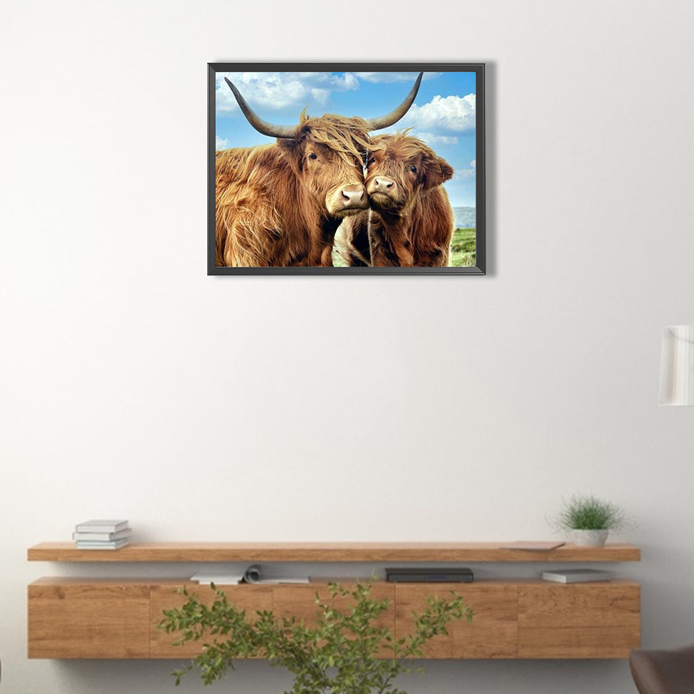 Highland Yak - Full Round Drill Diamond Painting 40*30CM