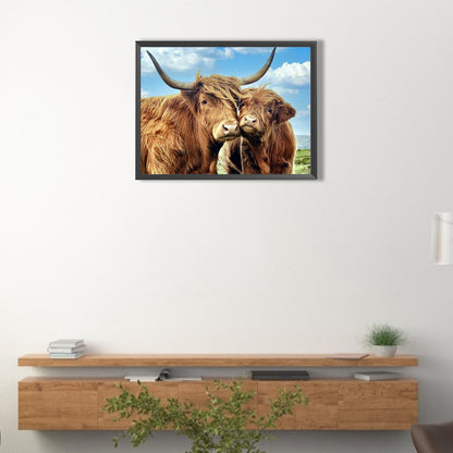 Highland Yak - Full Round Drill Diamond Painting 40*30CM