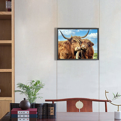Highland Yak - Full Round Drill Diamond Painting 40*30CM